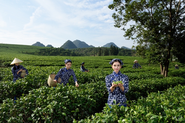 积庆里红茶谷