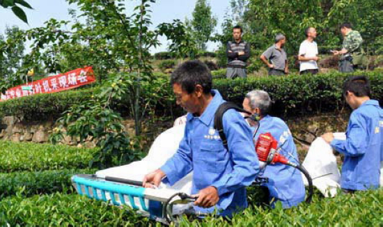 高县举办茶叶机采现场会力促标准化茶园建设